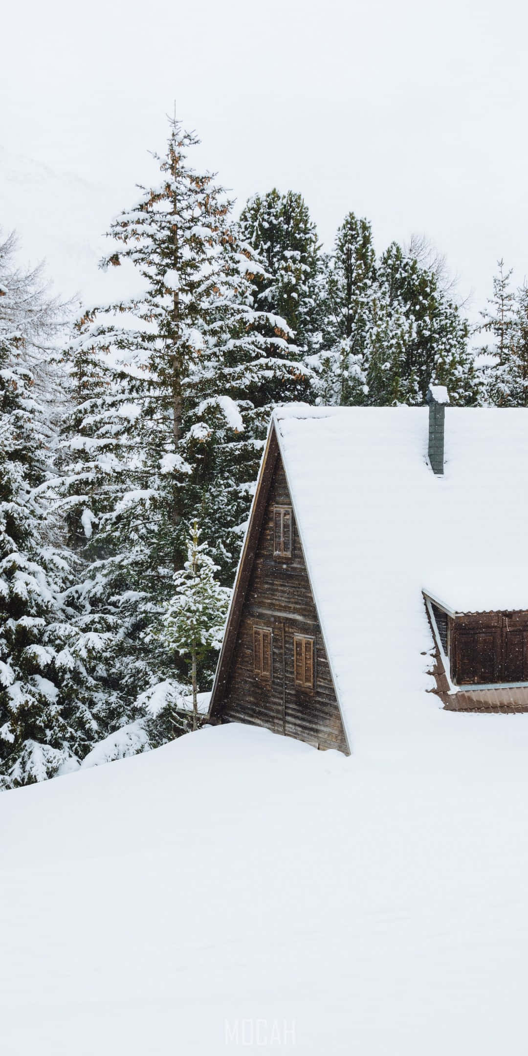 Pixel 3 冬季背景：覆雪小屋屋頂 壁紙 — 一座質樸的木屋坐落在白雪皚皚的森林中，松樹上覆蓋著白雪，天空多雲。