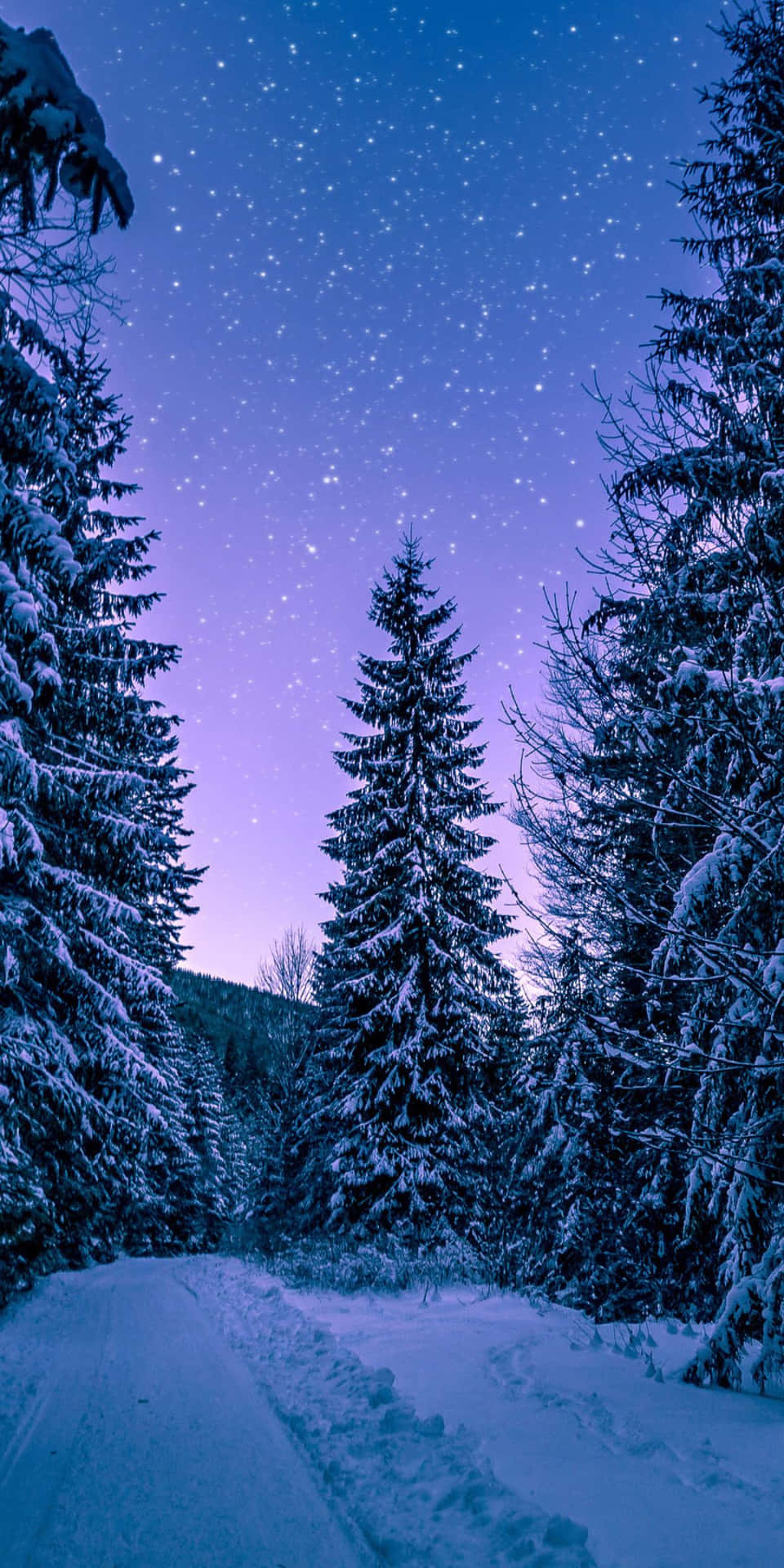 白雪覆蓋的森林小徑，在星光閃爍的暮色天空下，帶有紫色和藍色色調。