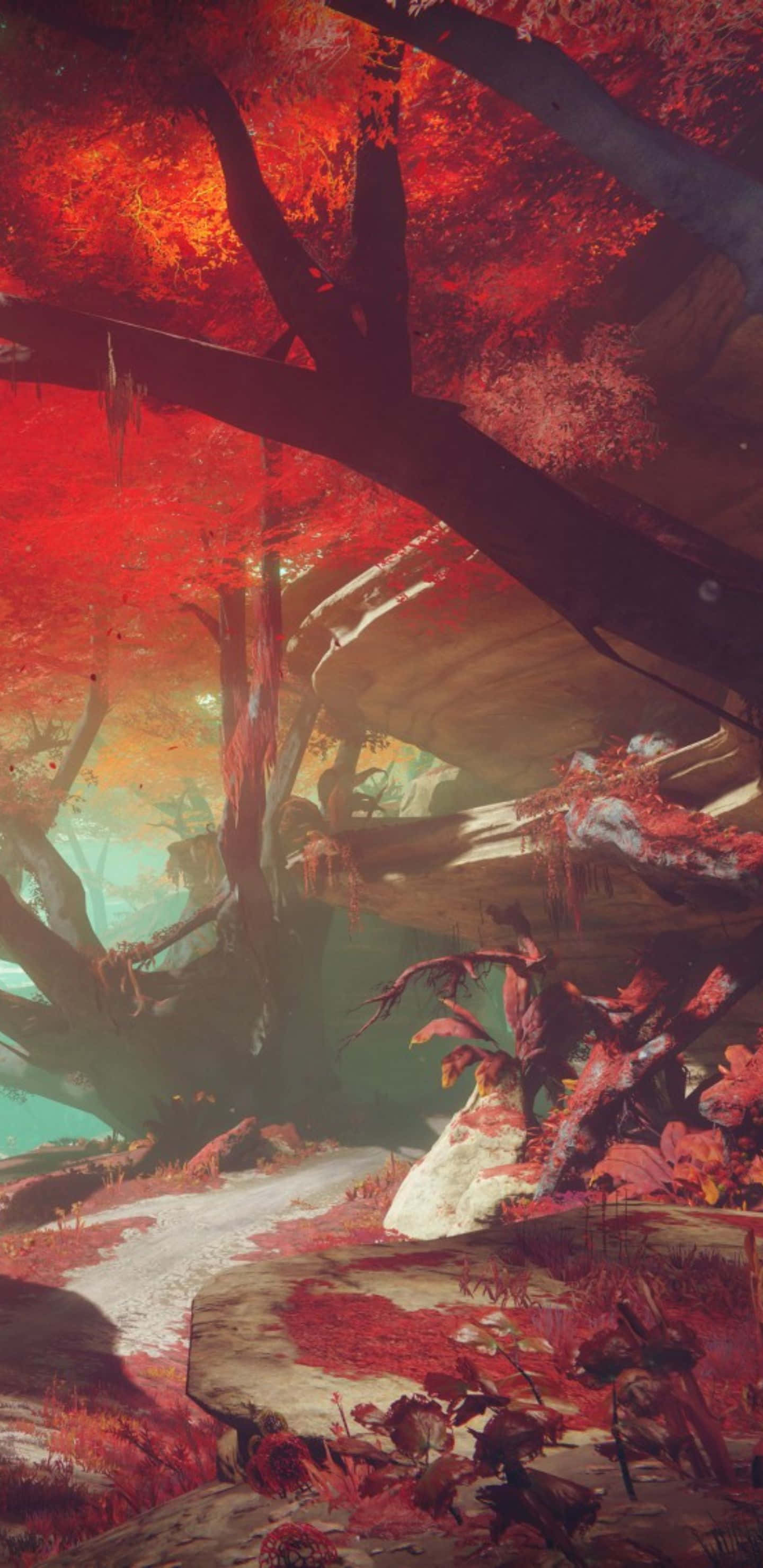 Pixel 3XL《Destiny 2》背景與納蘇斯森林同人圖 壁紙 — 一個孤獨的白衣身影，在神秘森林中火紅秋葉的樹冠下，沿著石徑行走。