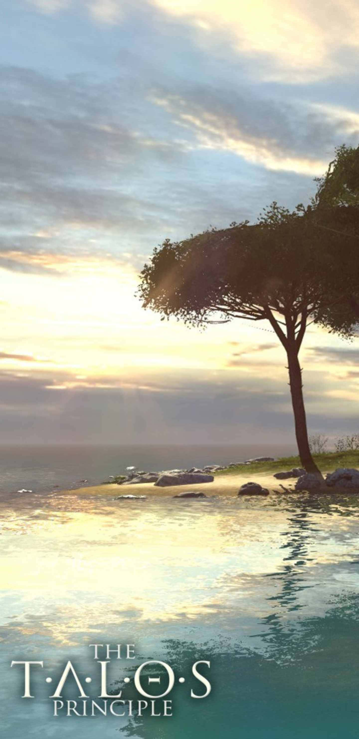 Pixel 3XL《The Talos Principle》無限泳池背景 壁紙 — 一棵孤樹矗立在岩石海岸上，夕陽西下，其輪廓倒映在平靜的水面上，天空呈現柔和的金色。