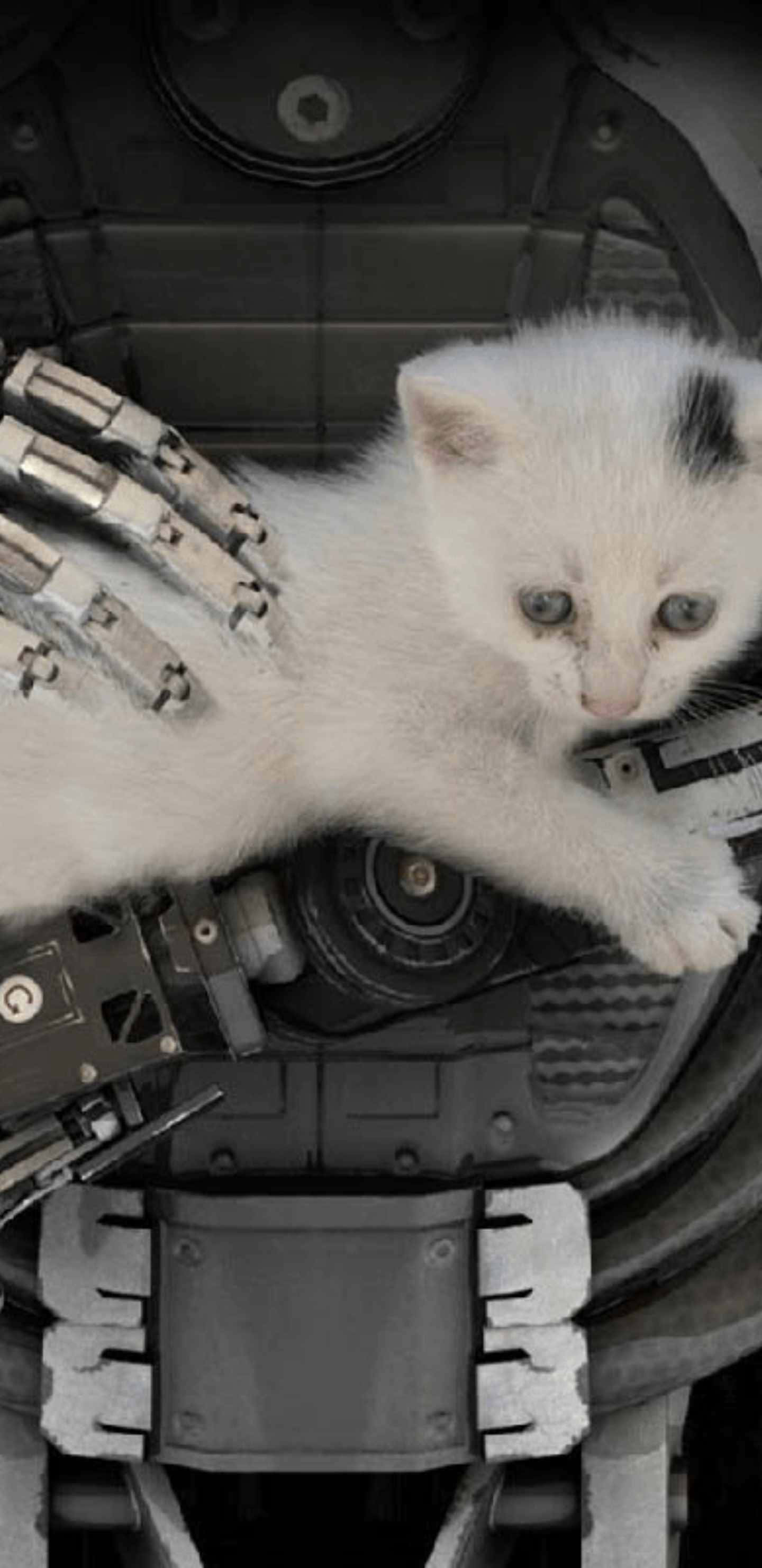 Pixel 3xl 上《The Talos Principle》的審美魅力 壁紙 — 一隻帶有黑色斑點的小白貓在單色環境中休息在機械機械臂上。