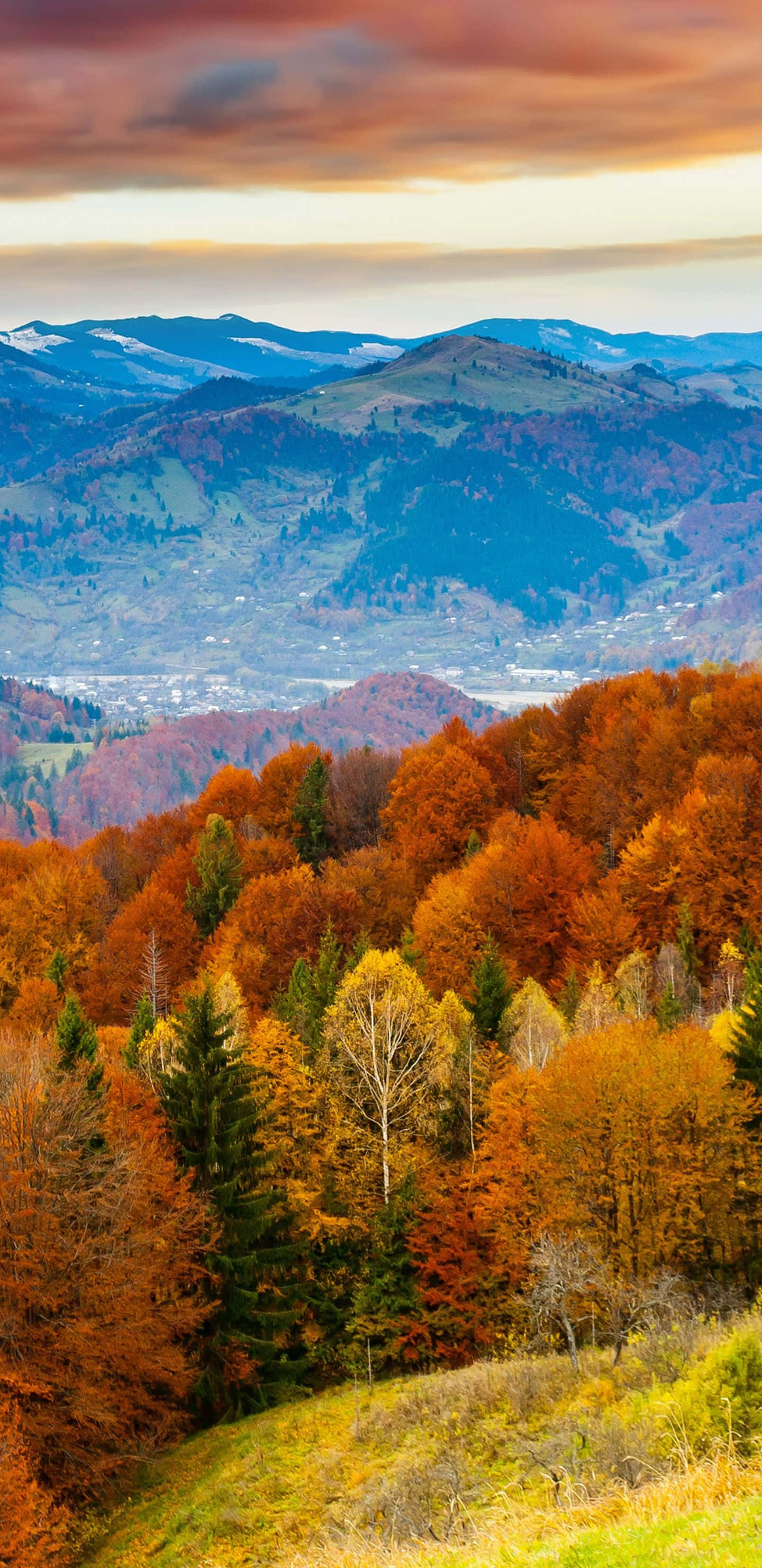 Pixel 3XL 山坡秋樹背景 壁紙 — 充滿活力的秋林覆蓋著起伏的山丘，天空呈現戲劇性的橙色和藍色，遠處有白雪覆蓋的山峰。
