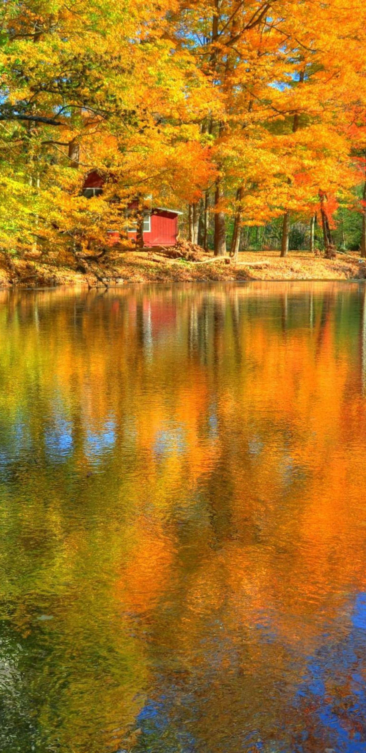 Pixel 3XL 秋日湖畔黃樹背景 壁紙 — 一間紅色小屋坐落在火紅的橙色和黃色秋樹之間，完美地倒映在晴朗藍天下平靜的湖面上。