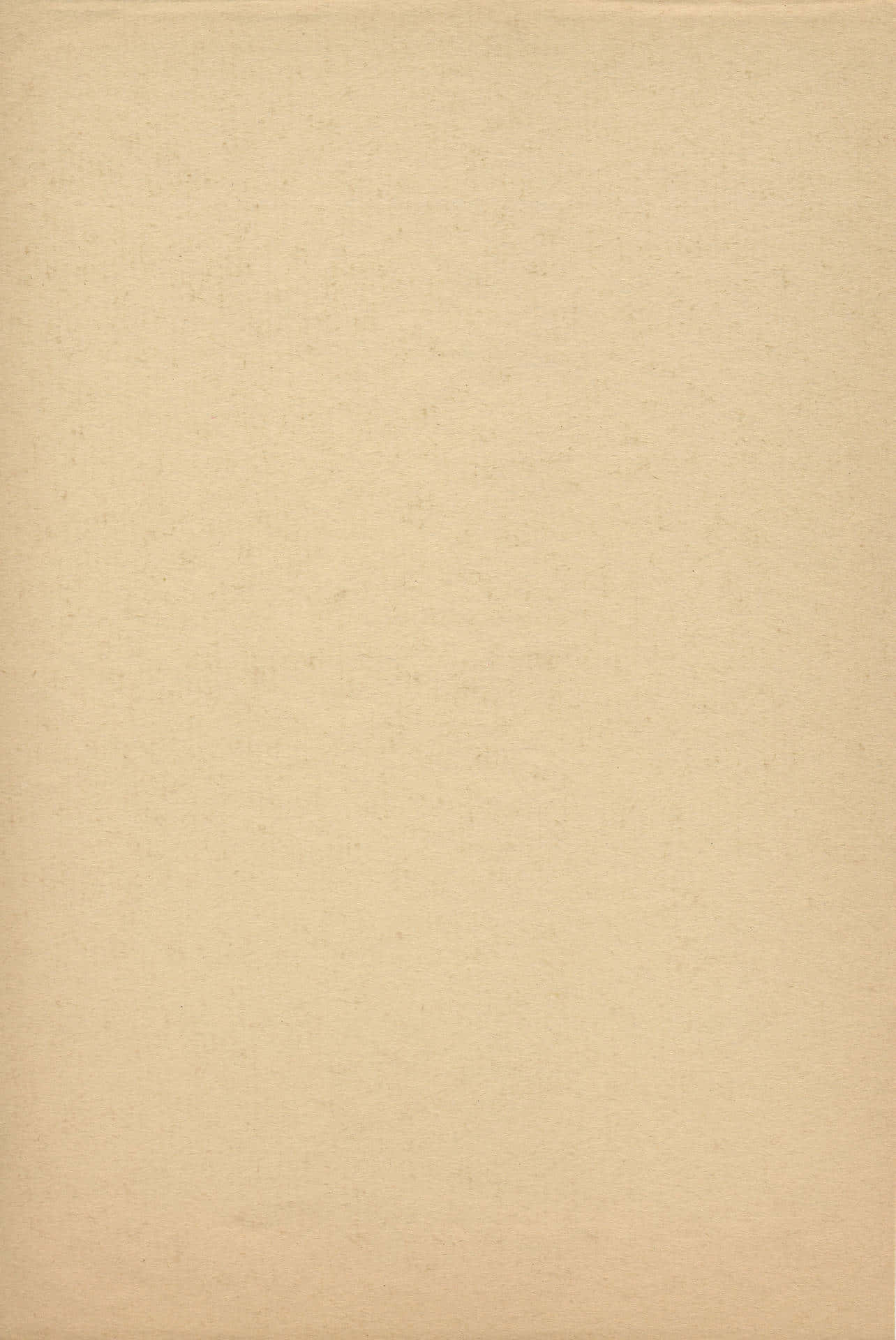 Plain Beige 桌布 壁紙 — 純色米色紋理紙張表面，帶有細微纖維變化和柔和自然光線。