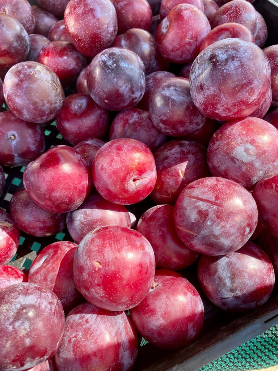 義大利李子 plum 紅葉皮果實 壁紙 — 一個特寫鏡頭，展示飽滿成熟的紅布冧，帶有灰塵般的紅色外皮，堆放在一個綠色籃子裡。