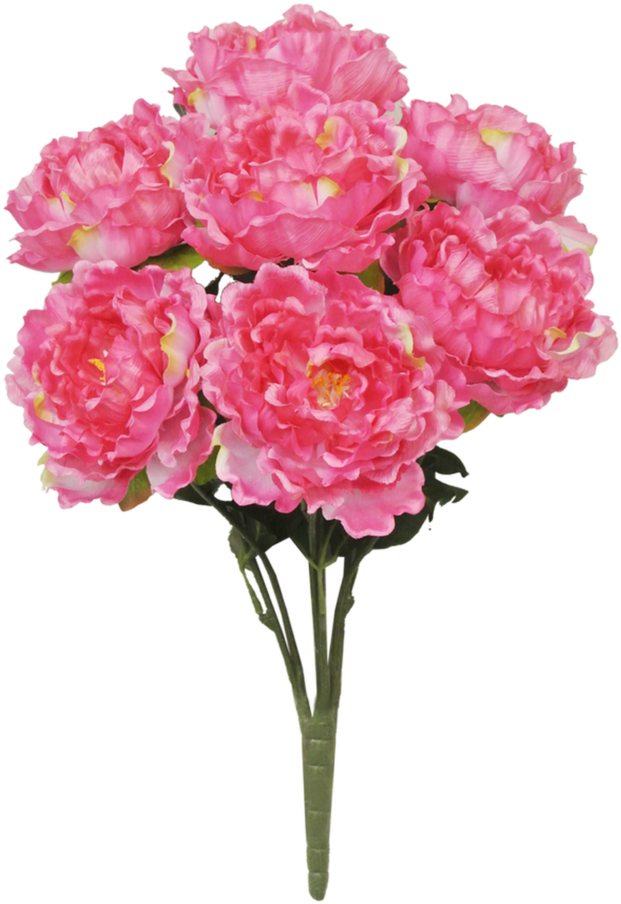 鮮豔粉紅牡丹花束.PNG 壁紙 — 一束茂盛的粉紅色牡丹，花瓣層層疊疊，綠莖襯托在純黑背景上。