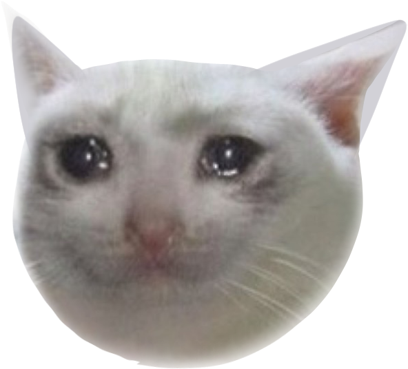 憂慮貓咪梗圖臉部.PNG 壁紙 — 一隻白貓的臉部特寫，有著大大的深色眼睛和柔軟的毛髮，背景為黑色。