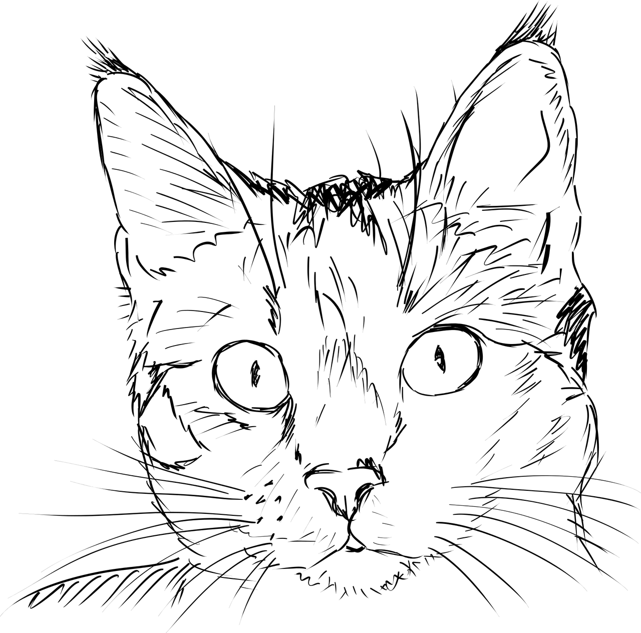好奇貓素描.PNG 壁紙 — 純黑色背景，沒有可見的元素或細節。