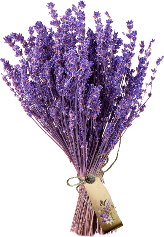 薰衣草花束.PNG 壁紙 — 一束充滿活力的乾燥薰衣草，用麻繩和質樸的標籤綁在一起，襯托在純黑背景上。