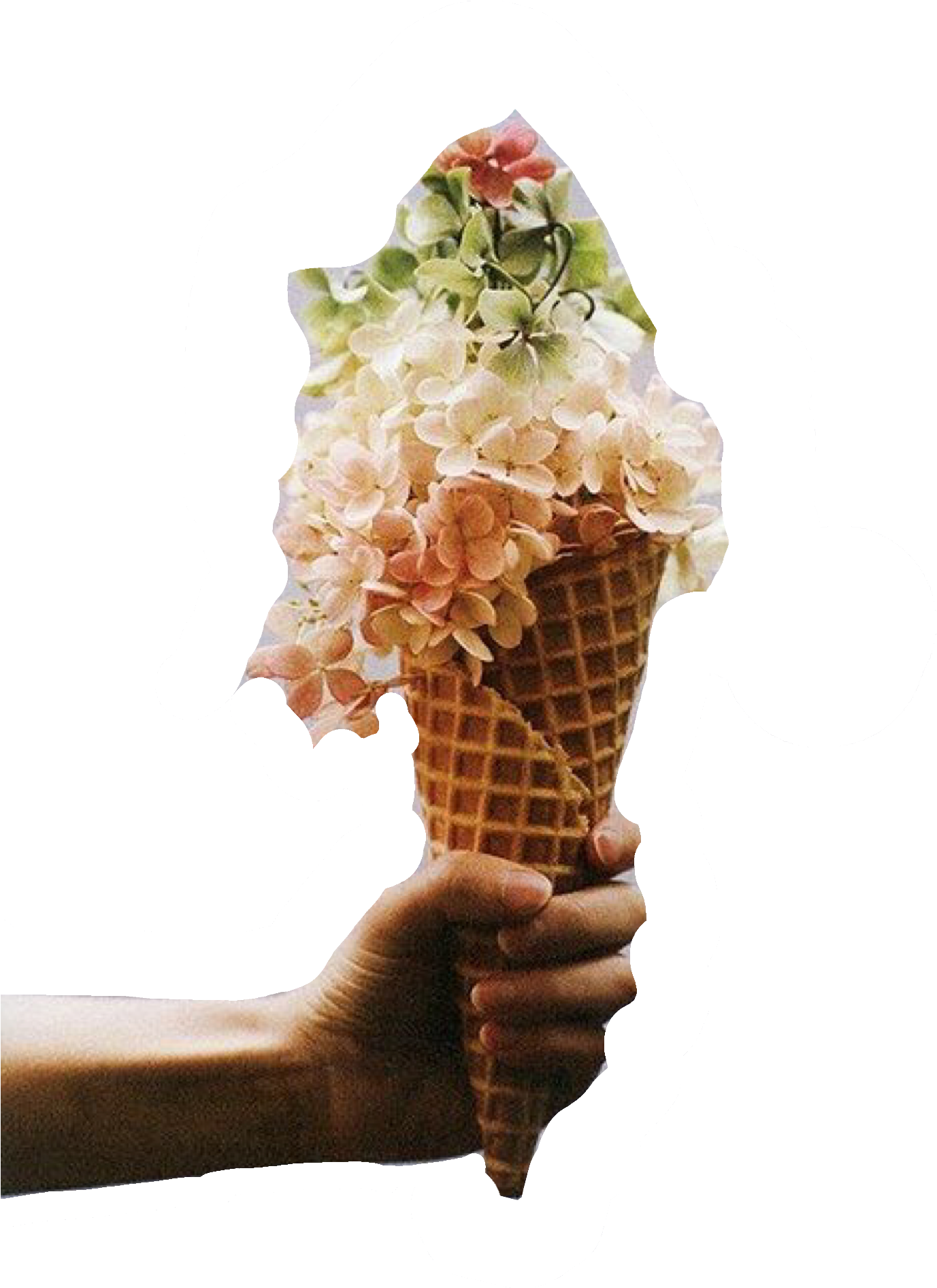 花卉蛋筒超現實.PNG 壁紙 — 一隻手拿著一個裝滿粉紅色和白色繡球花的窩夫筒，背景為純黑色。