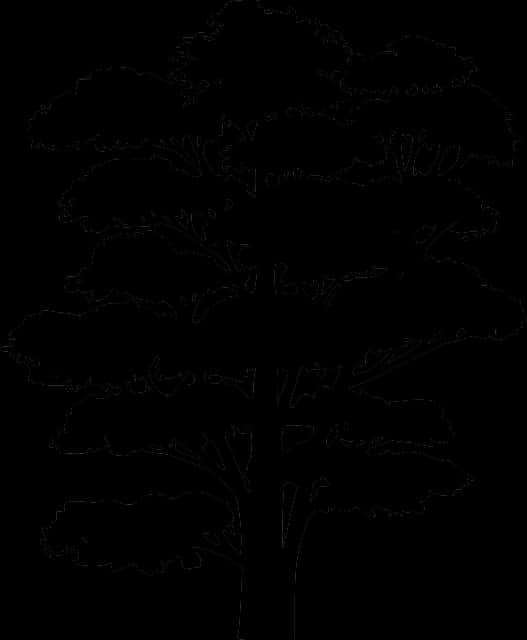 樹影輪廓.PNG 壁紙 — 一幅極簡黑白線條畫，描繪一棵樹，樹葉層層疊疊，背景為純黑色。