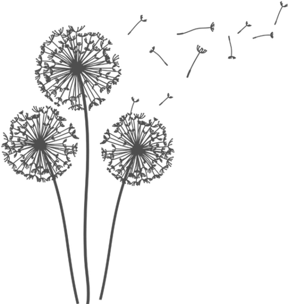 蒲公英剪影隨風飄散.PNG 壁紙