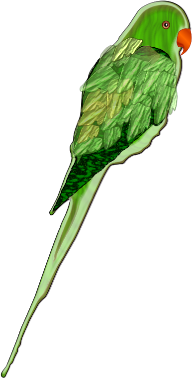 綠色鸚鵡插畫.PNG 壁紙 — 一隻鮮綠色的鸚鵡，有著橙色的喙和細緻的羽毛圖案，在純黑色背景上格外突出。