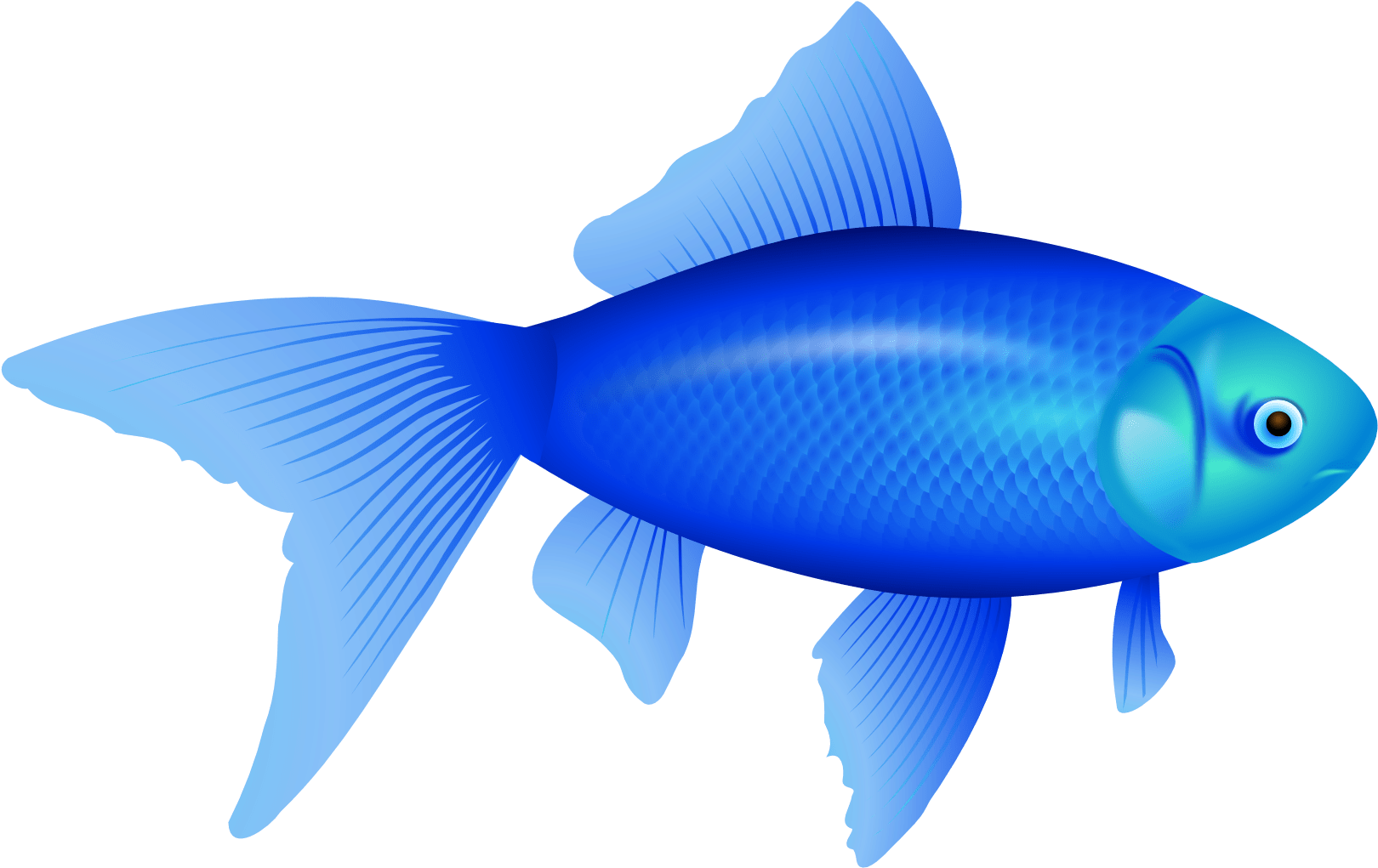 鮮豔藍色魚插圖.PNG 壁紙