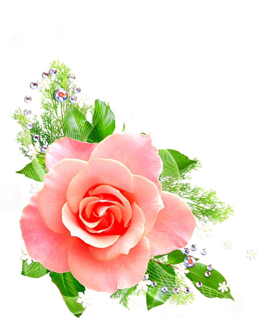 優雅粉紅玫瑰花圖案設計.PNG 壁紙