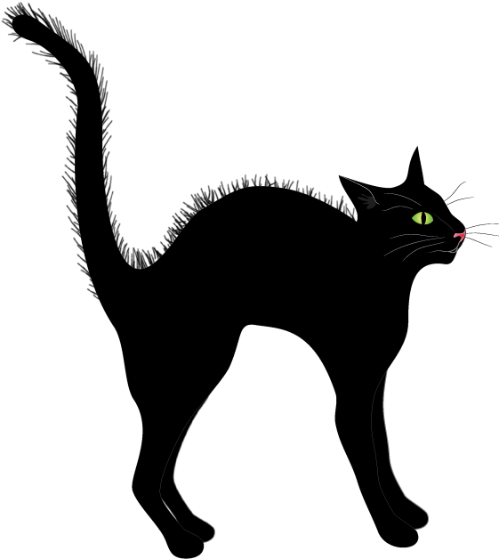 警覺黑貓插畫.PNG 壁紙