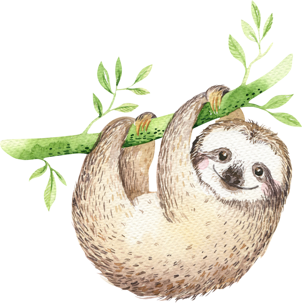 樹懶倒掛插畫.PNG 壁紙
