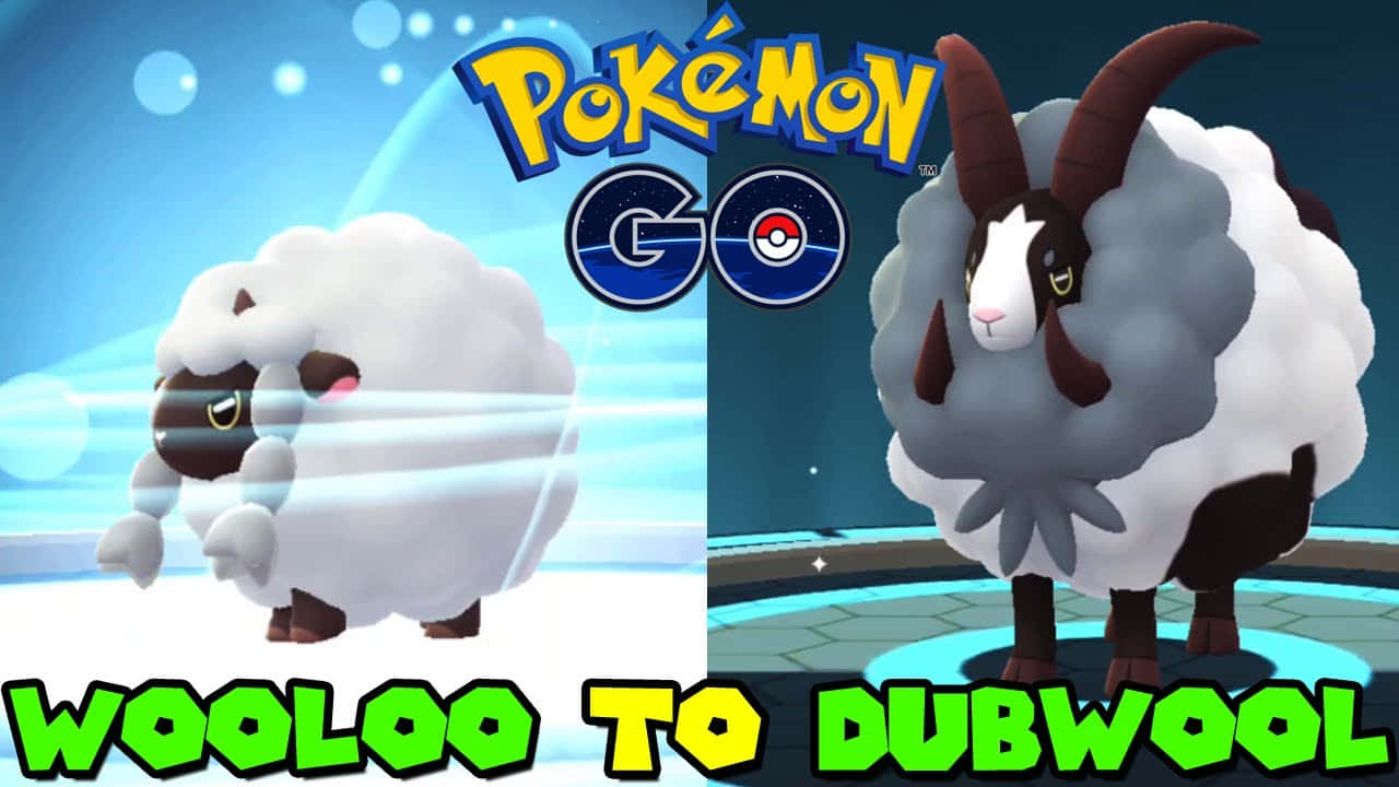 Wooloo 同 Dubwool 寶可夢喺精靈球場地入面，有 Pokémon GO 標誌。