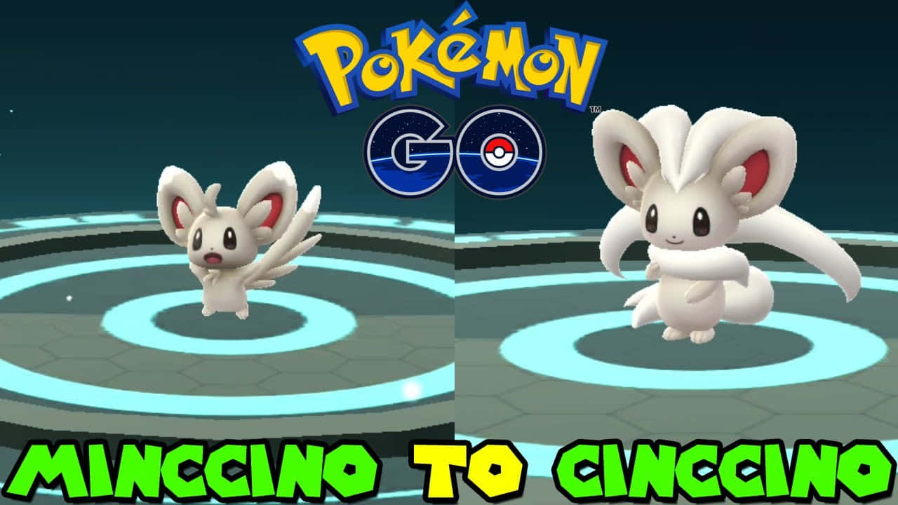 泡沫栗鼠和奇諾栗鼠寶可夢在 Pokémon GO 進化場景中，伴隨發光圓圈。