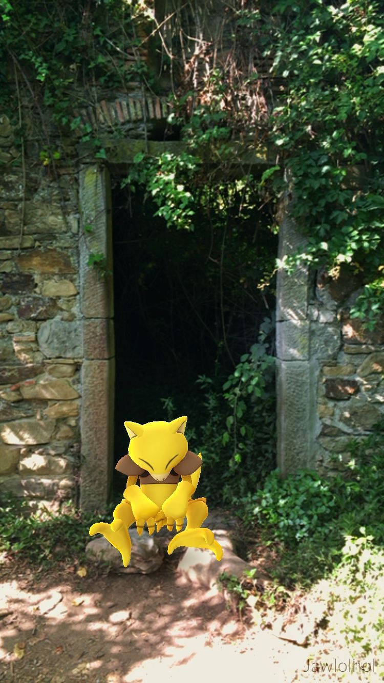 黃色動漫狐狸坐在森林中的石拱門前。