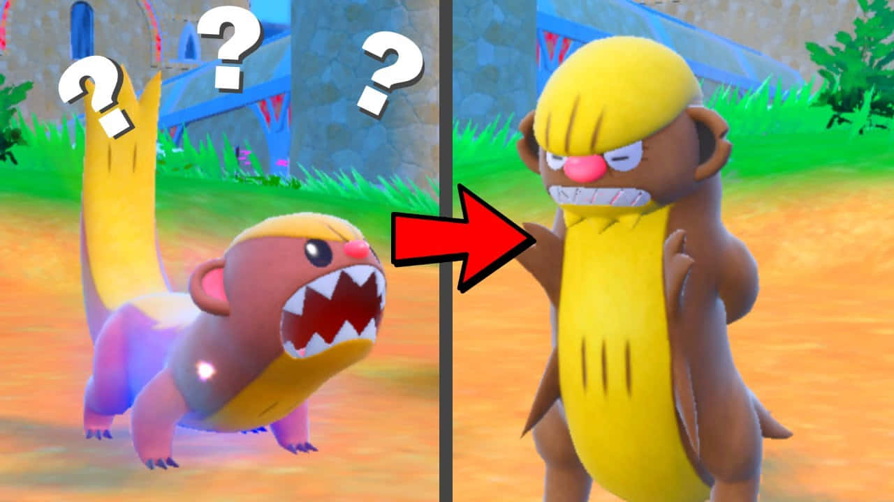 Pokémon Yungoos 與 Gumshoos 壁紙 — 卡通猴子寶可夢從紫色和黃色的形態轉變為全黃色的形態，帶有憤怒的表情。