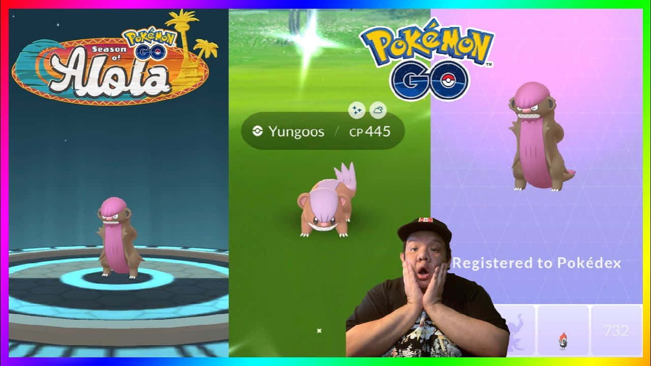 Pokémon Yungoos 登記入 Pokédex 壁紙 — 一位驚訝的玩家在Pokémon GO的阿羅拉季節中捕捉到Yungoos時，伴隨著鮮豔的遊戲UI元素作出反應。