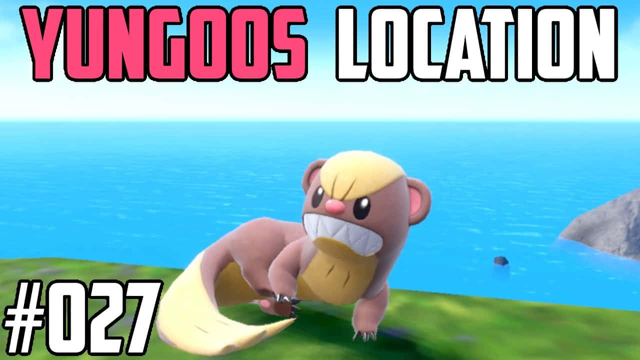 Pokémon位置Yungoos 壁紙 — 一隻卡通貓鼬站在藍色水邊的綠色草地上，文字疊加顯示其圖鑑編號和位置。