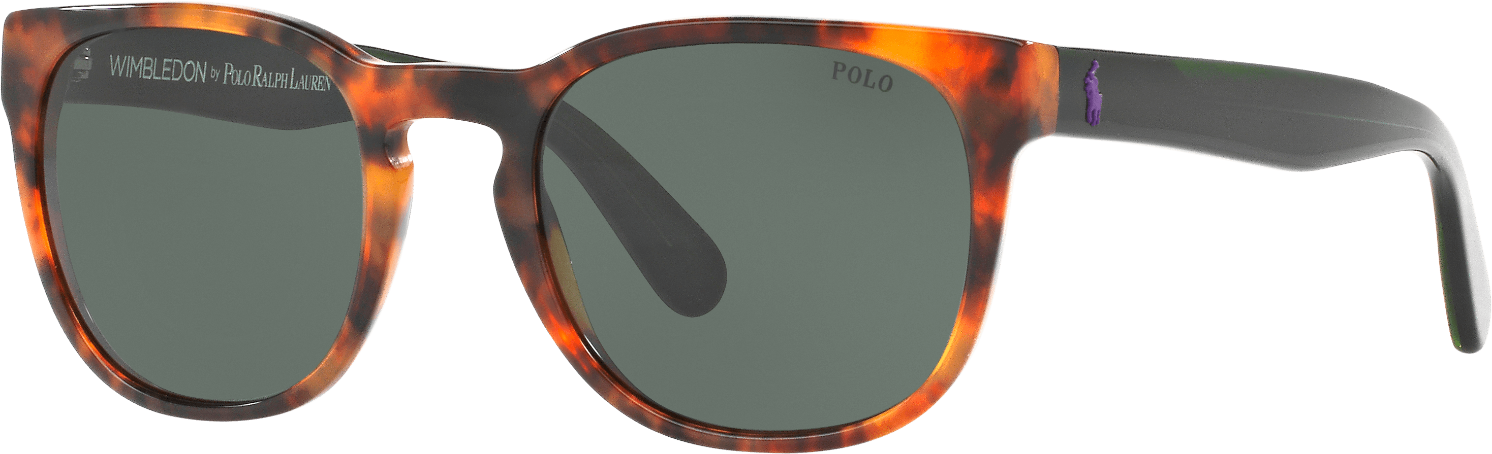 Polo Ralph Lauren玳瑁太陽眼鏡 壁紙 — 玳瑁色太陽眼鏡，帶有溫布頓 Polo Ralph Lauren 品牌標誌和灰色鏡片，黑色背景。