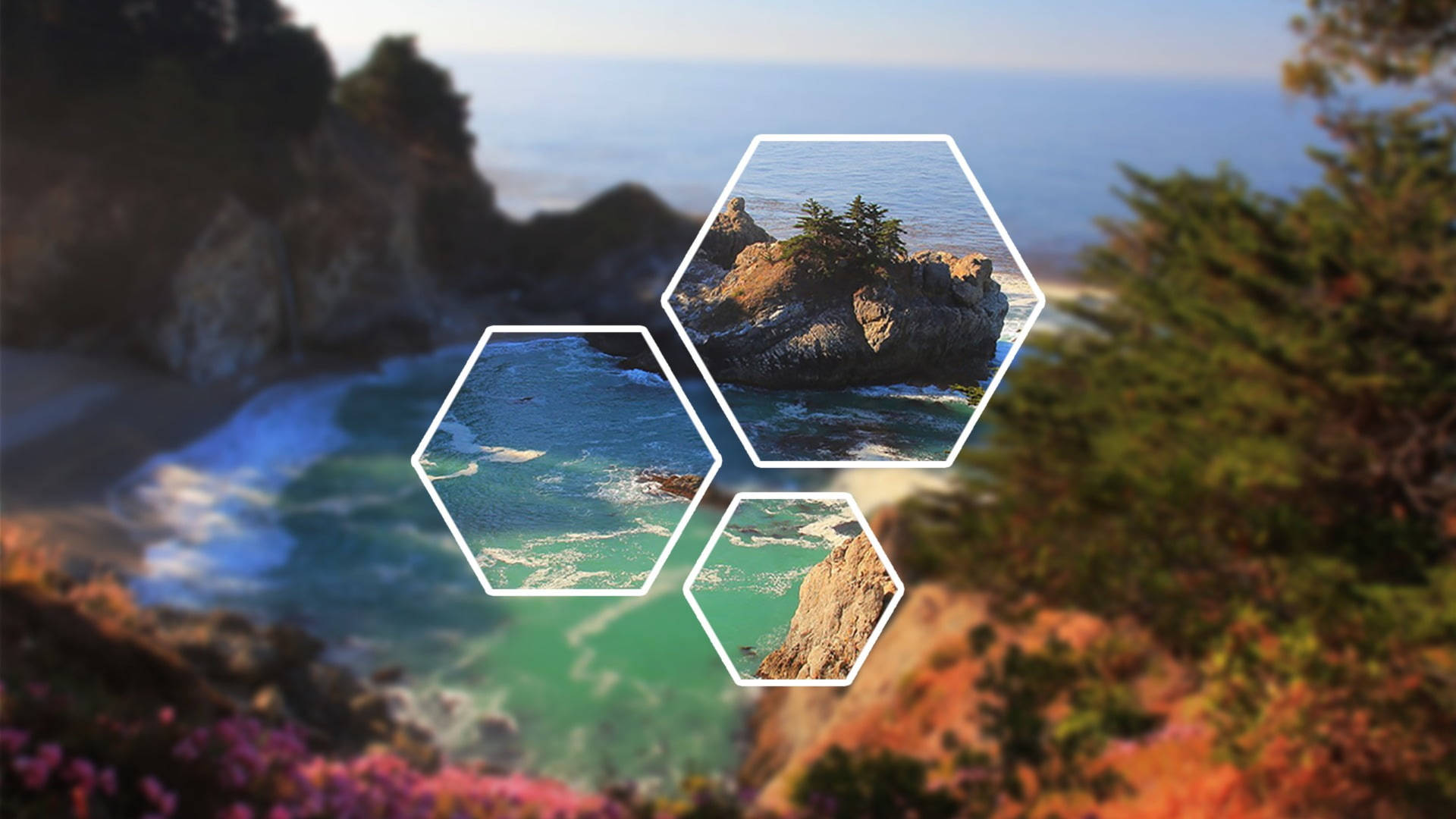 六角形插圖顯示海岸岩層和碧綠海水，背景是模糊的海洋和秋葉。