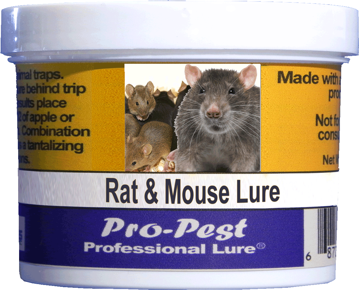 Pro-Pest 老鼠誘餌容器 壁紙 — 一個白色嘅 Pro-Pest 老鼠誘餌容器，標籤上顯示三隻老鼠同粗體文字，背景係黃色同藍色。