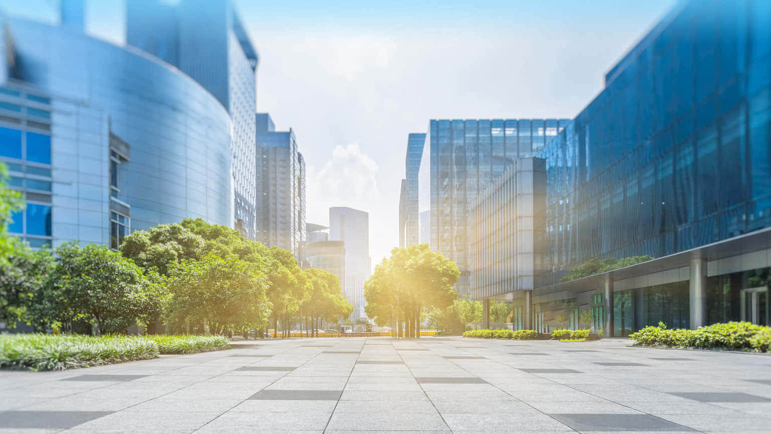 現代玻璃建築之間，陽光普照的城市廣場，樹木成蔭。