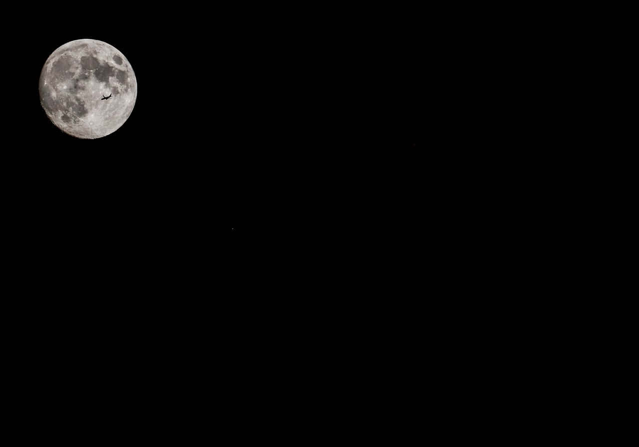 一隻小鳥在黑色夜空襯托下飛過滿月前方。