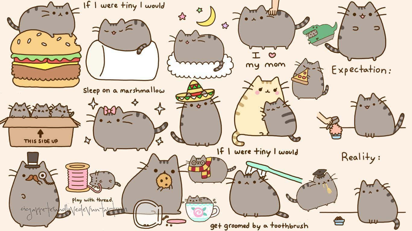 與Pusheen一起窩在一起吧！ 壁紙 — 一系列異想天開的 Pusheen 貓插圖，幽默地想像小貓咪與日常物品的場景。