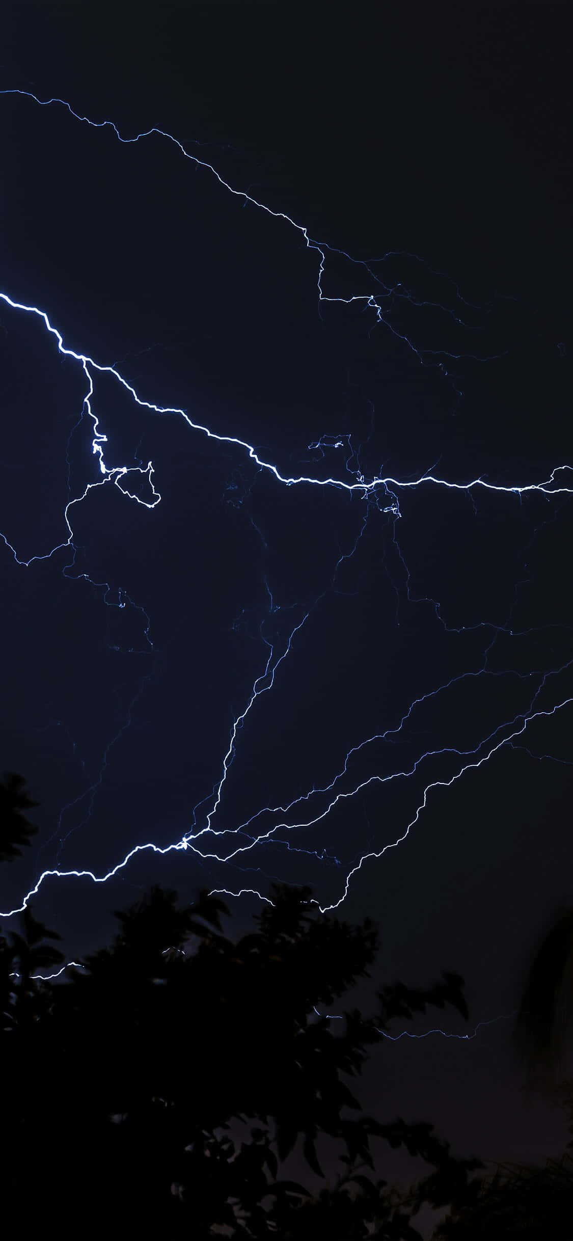 Lightning iPhone 桌布 壁紙 — 強烈的藍色閃電在漆黑的夜空中，在樹枝的剪影上方分叉。