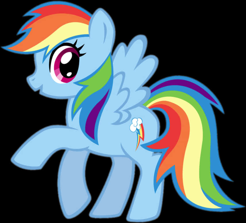 Rainbow Dash 我的小馬駒 壁紙