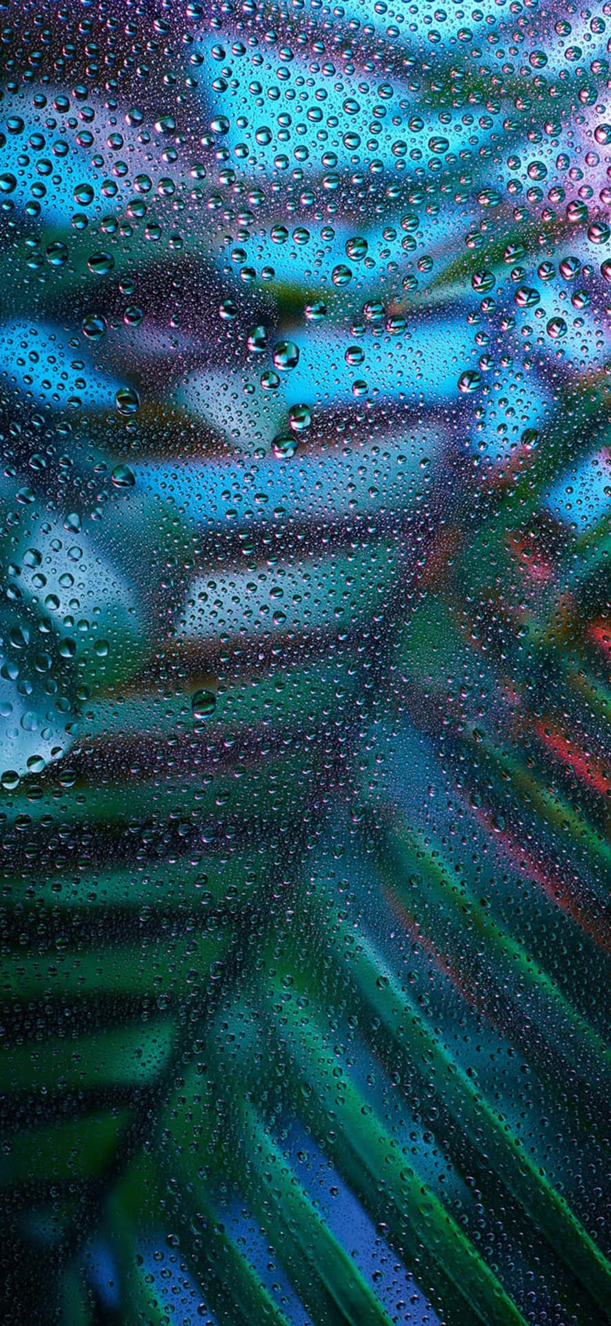  壁紙 — 雨滴依附在玻璃表面，顯露出模糊而充滿活力的叢林場景，帶有發光的藍色和綠色色調。