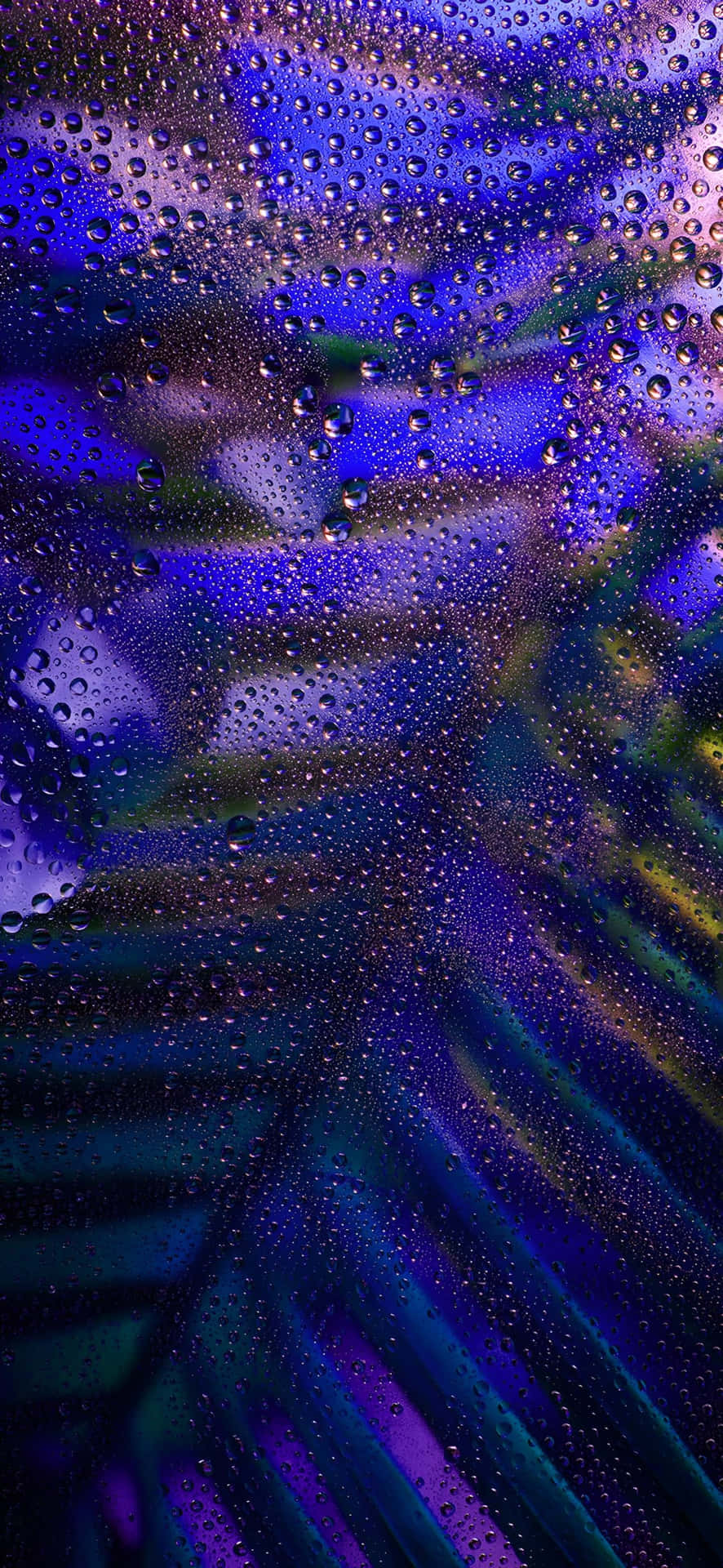  壁紙 — 雨滴依附在玻璃上，顯露出背後深紫色、藍色和綠色的鮮豔抽象模糊效果。