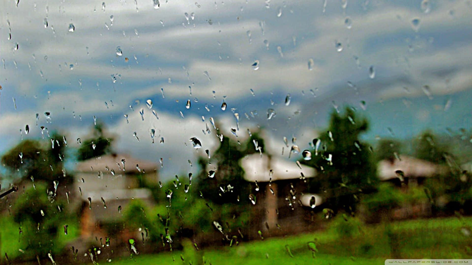 車窗上的雨滴，背後是模糊的郊區景色。