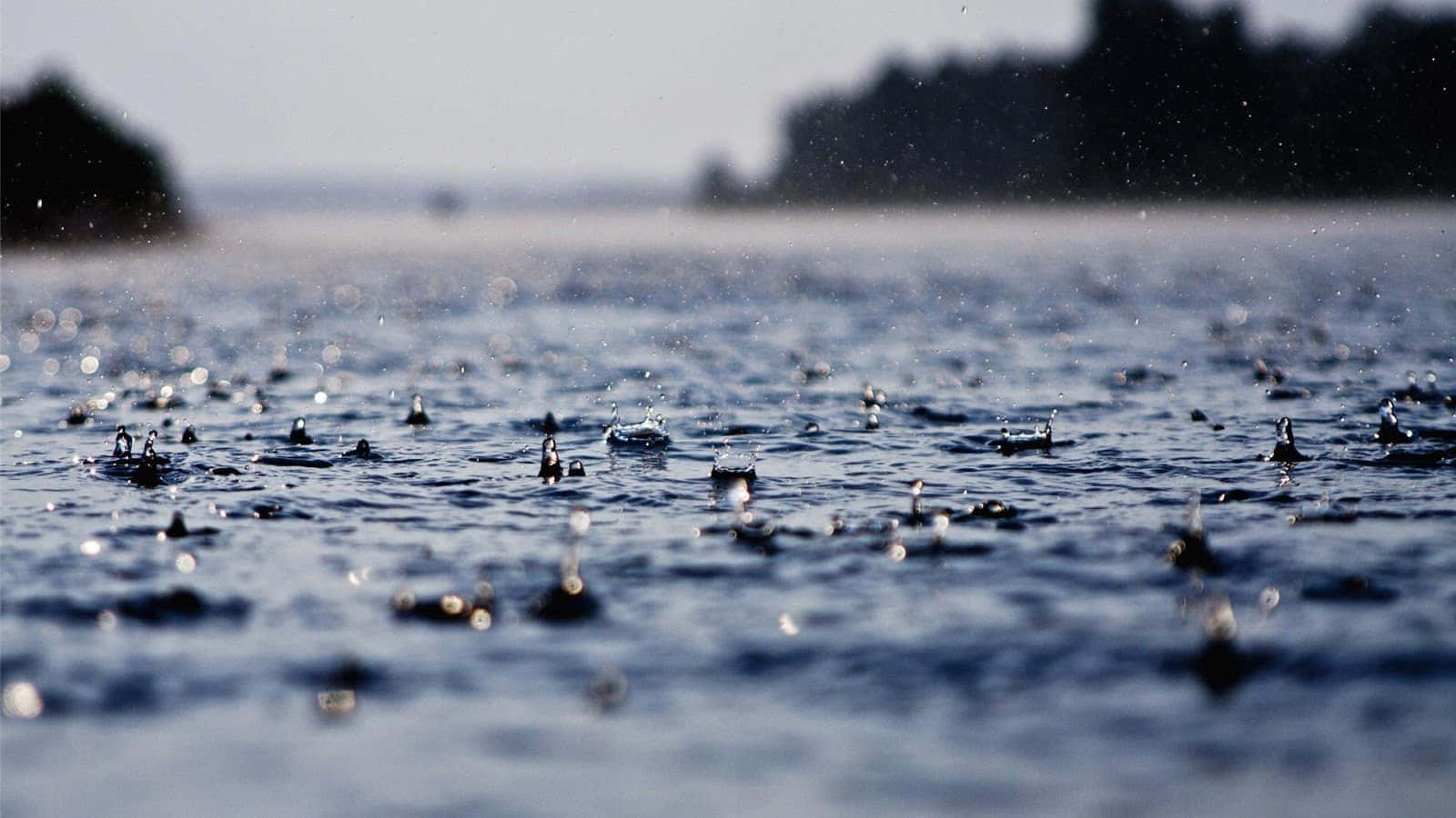雨滴在藍色湖面上泛起漣漪，背景是模糊的森林。