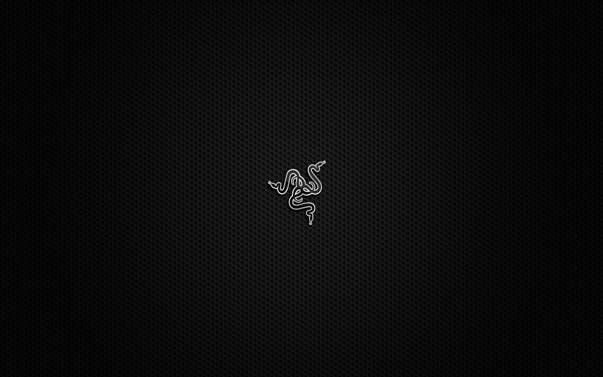 極簡風格Razer Corsair標誌 壁紙 — 一個簡約的白色Razer標誌在帶有紋理的黑色六邊形背景上微微發光。