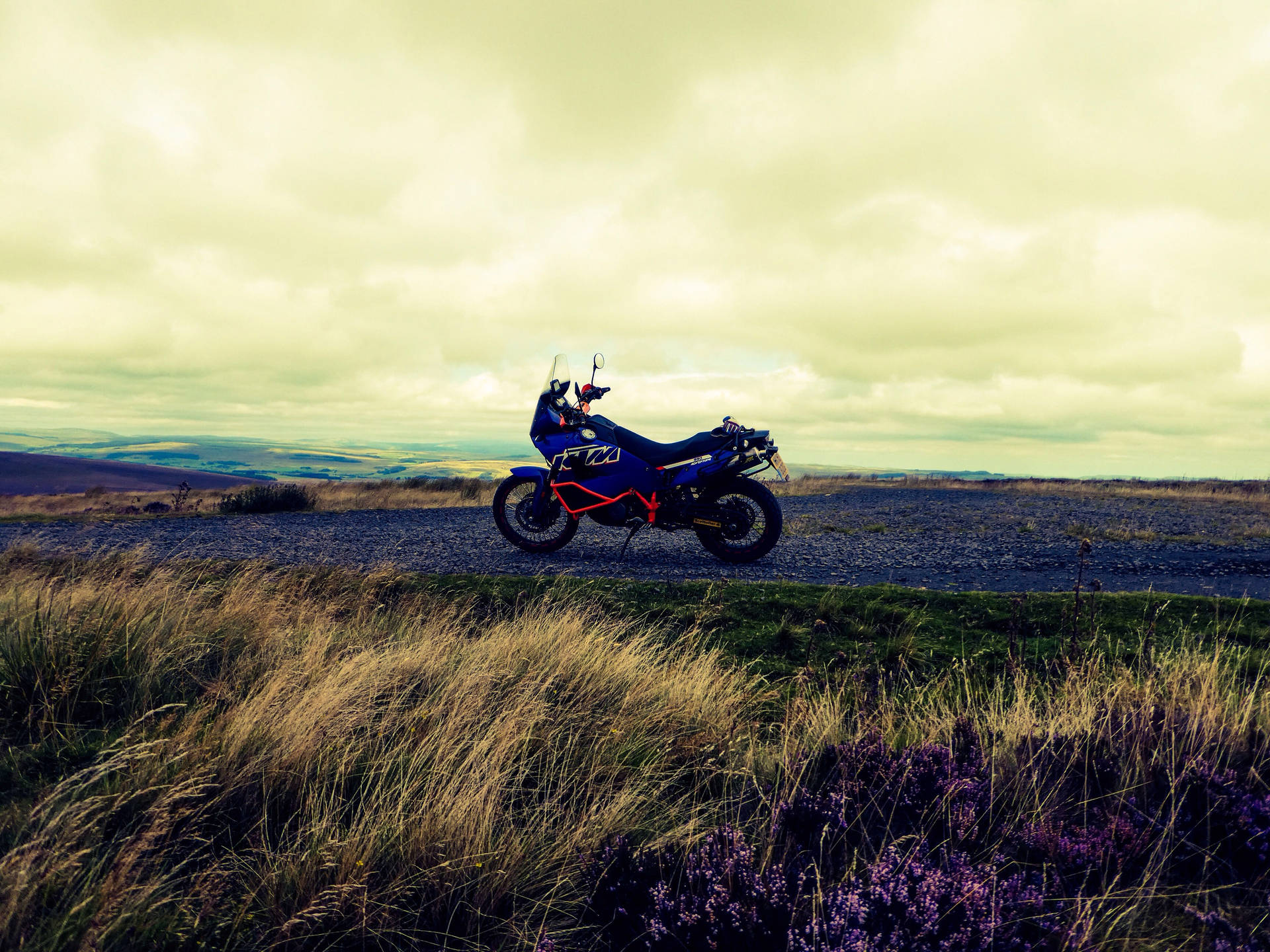 藍色探險電單車停在碎石路上，有金色草和紫色石楠，天空泛黃。