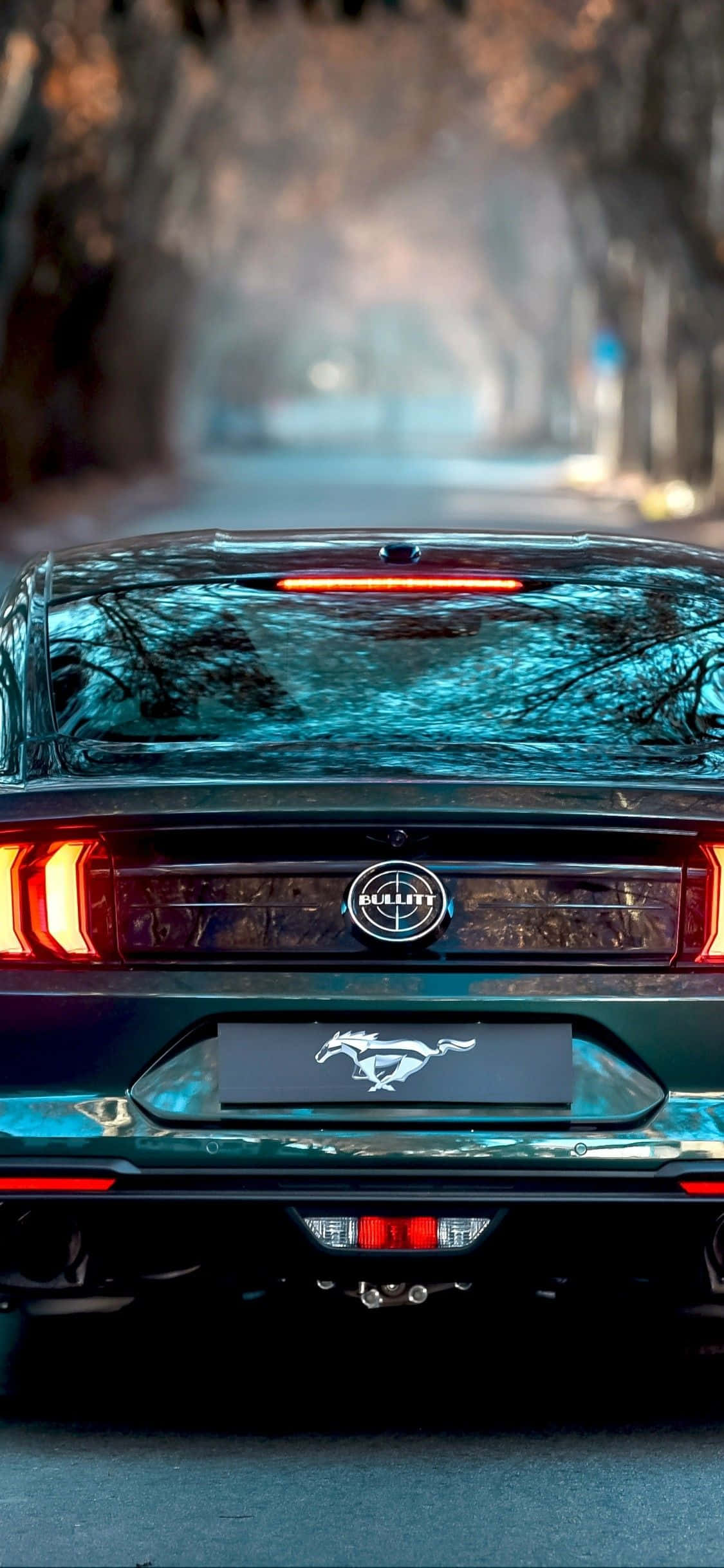 Ford Mustang Bullitt 桌布 壁紙 — 黑色福特野馬的後視圖，尾燈發光，停在秋季的樹林大道上。