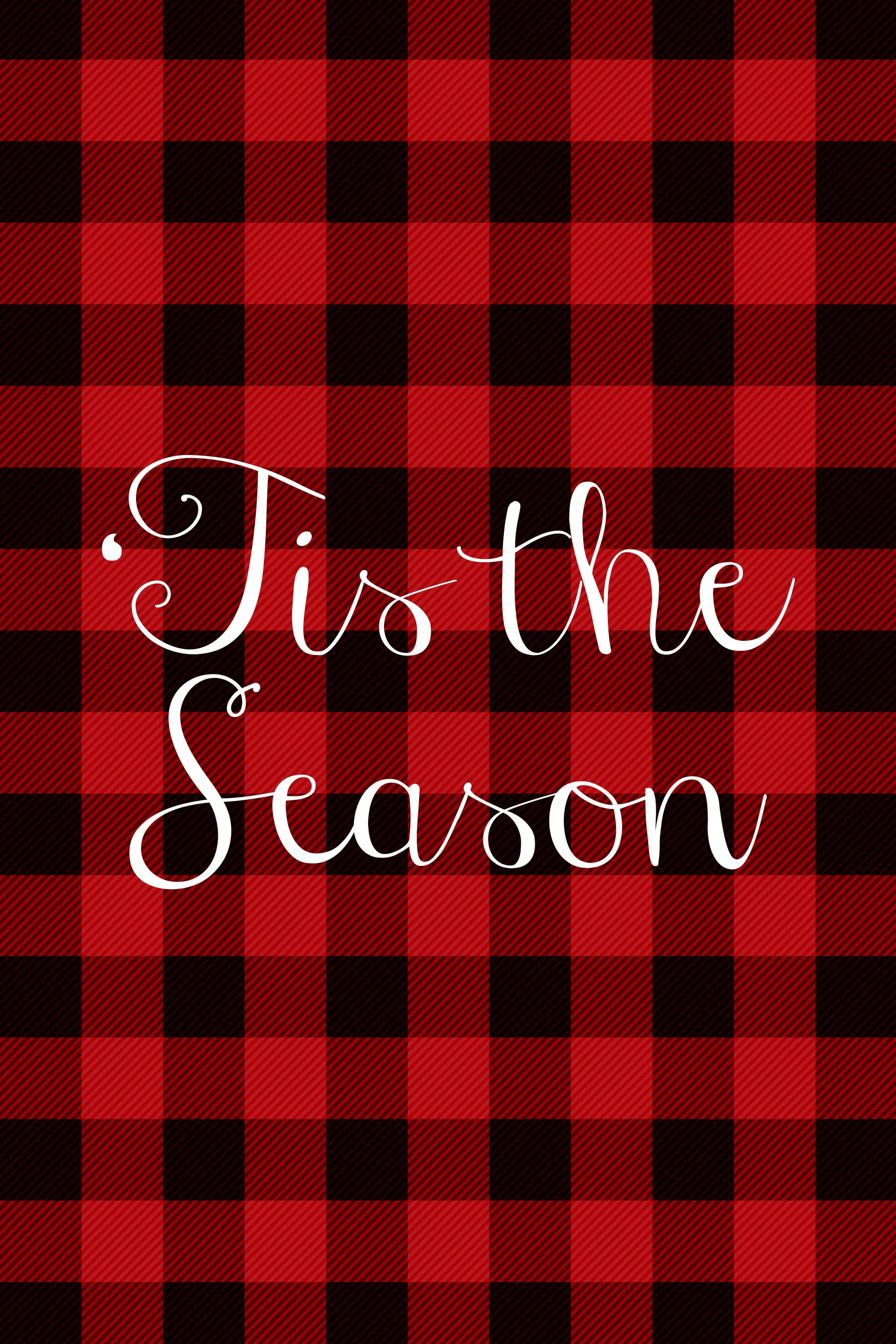 Red Checkered 桌布 壁紙 — 紅黑格子牆紙，中央有白色草書文字 'Tis the Season'。