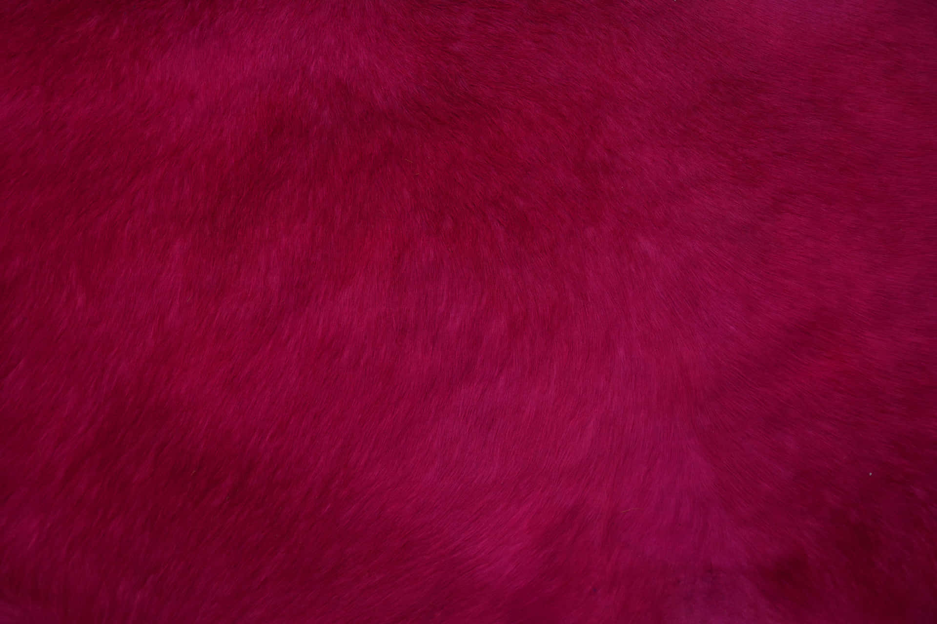 Red Background 壁紙