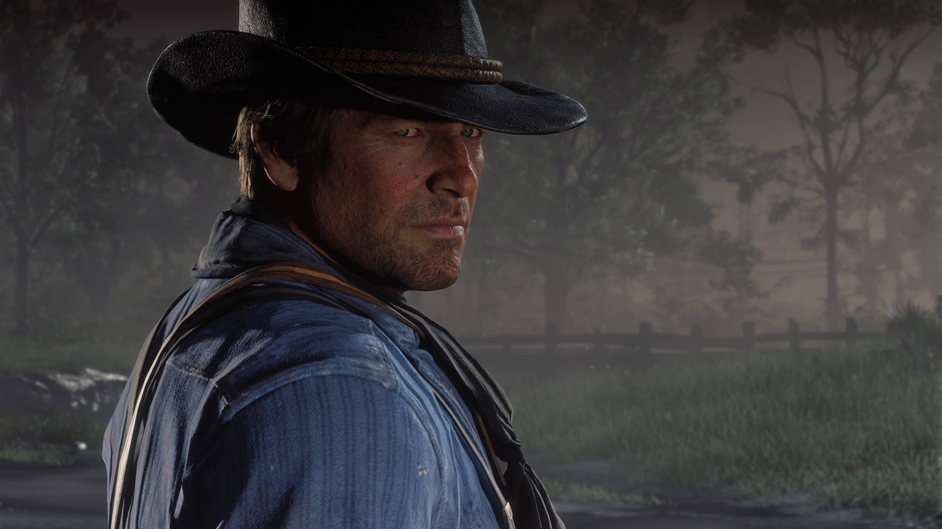 在《Red Dead Redemption 2》桌面探索狂野西部 壁紙 — 一個戴黑帽、穿藍衫的粗獷牛仔，在迷霧鄉郊環境中，越過肩膀凝視著。