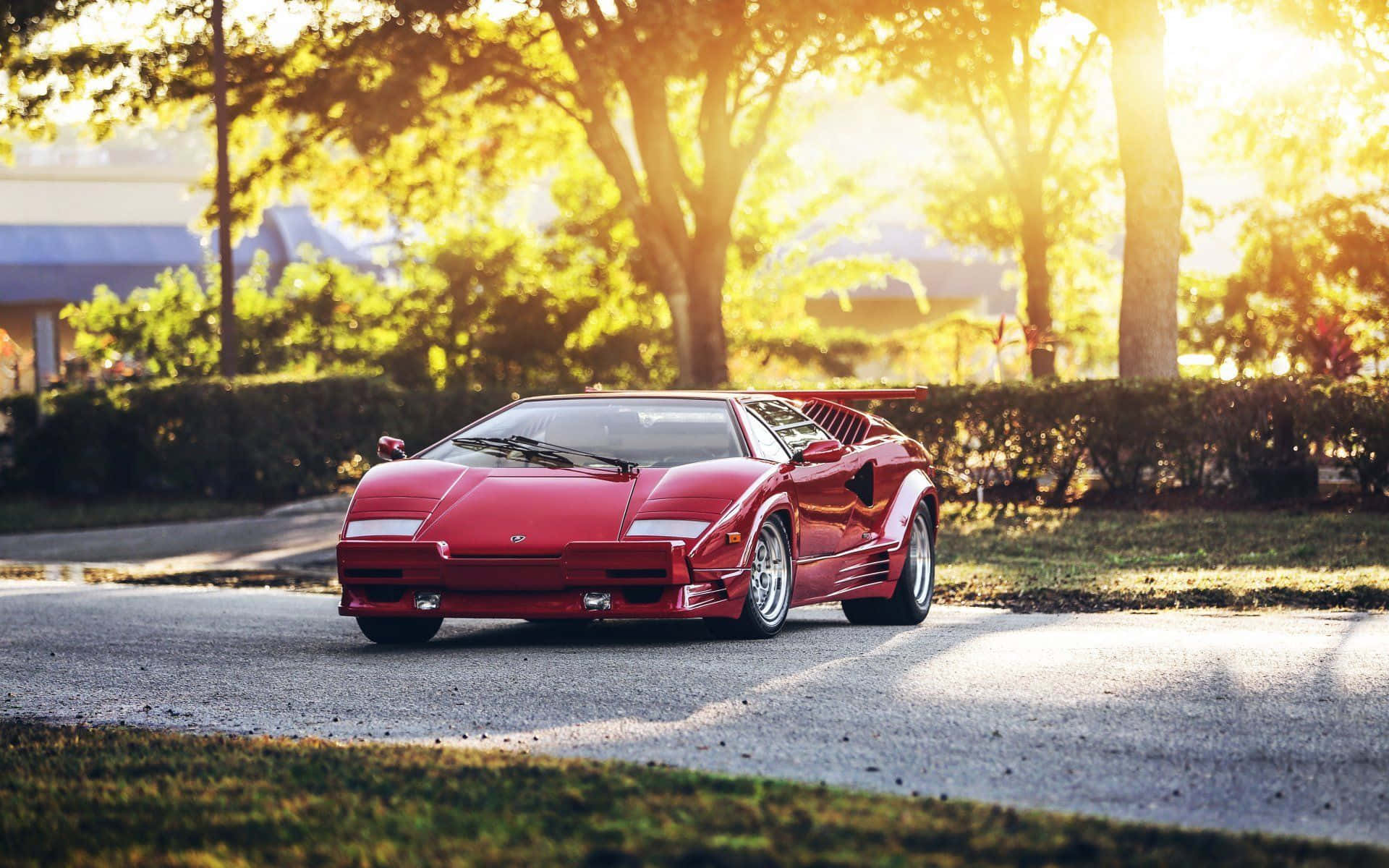 Lamborghini Countach 桌布 壁紙 — 一輛鮮紅色的林寶堅尼Countach在金色夕陽下閃耀，沿著綠樹成蔭的郊區道路行駛。