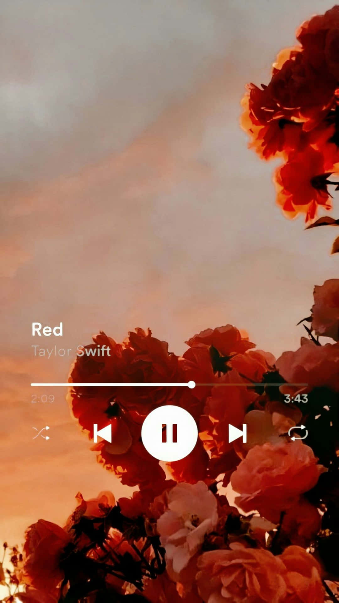 紅玫瑰在日落天空下，帶有顯示Taylor Swift的Red的音樂播放器。