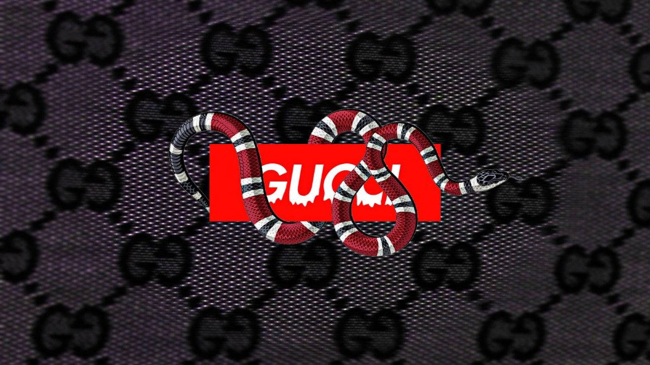 一條紅白黑色的蛇纏繞在Gucci字母組合圖案背景上的紅色Supreme標誌上。
