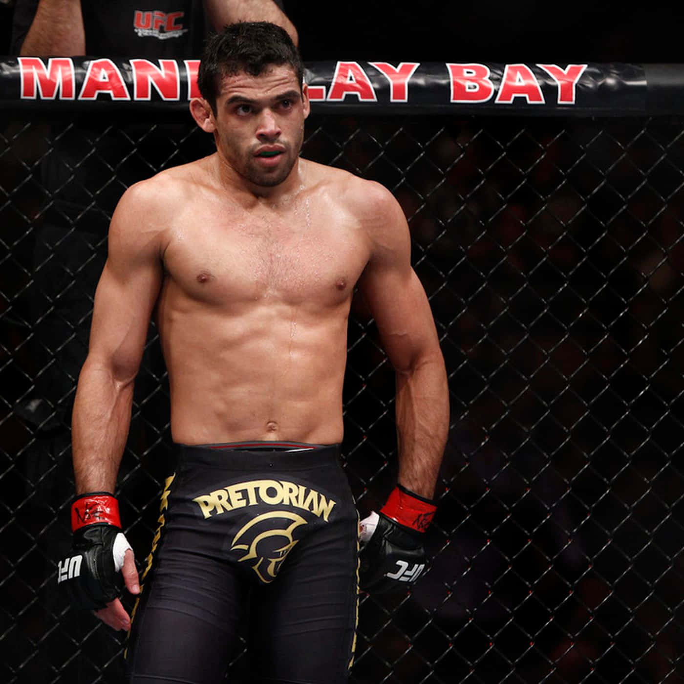Renan Barão於UFC 143賽事中於八角籠內 壁紙 — 一位肌肉發達的UFC拳手站在八角籠內，穿著帶有金色「Pretorian」標誌的黑色短褲和紅色手套。