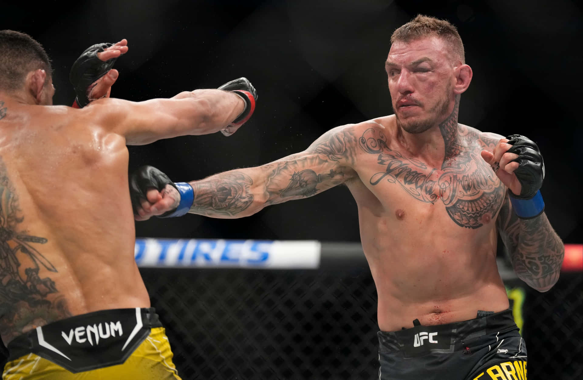 兩名男性MMA拳手在八角籠中比賽時互相出拳。